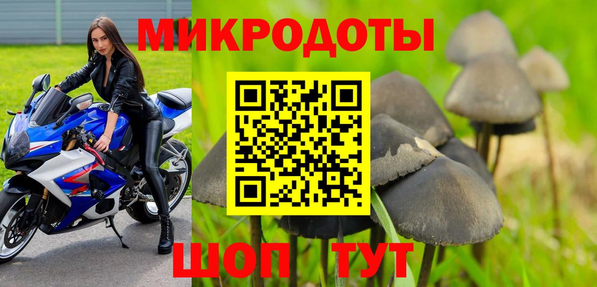 Псилоцибиновые грибы Psilocybe Барабинск